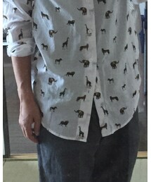 ZARA | シャツ/ブラウス