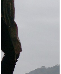 FOREVER 21 | デニムパンツ