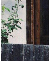 MARGARET HOWELL | シャツ/ブラウス