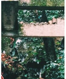 GU | テーラードジャケット