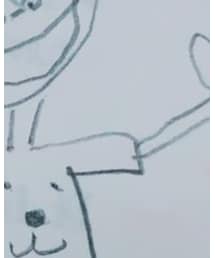 BURBERRY | スカート