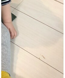 UNIQLO | その他パンツ