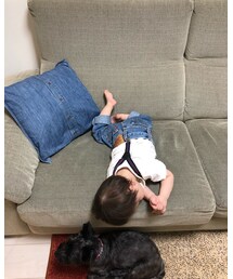 寝落ち😅 | その他