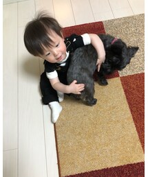 🐶と遊ぶ❤️ | その他