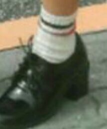 靴下屋 | ソックス(ソックス/靴下)