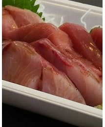 大洗 食べ歩き | 中トロ、ハマチ、赤身マグロ(その他雑貨)
