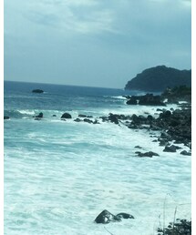 海 | 音楽/本・雑誌