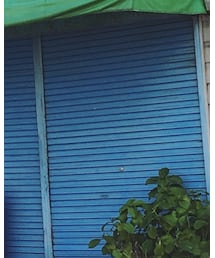 COMOLI | シャツ/ブラウス