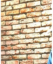 RAGEBLUE | シャツ/ブラウス