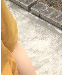 しまむら | メガネ