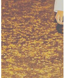 イチョウ並木。 | その他