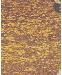 靴下屋 | ソックス/靴下