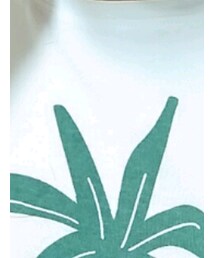 Kmart  | Tシャツ/カットソー