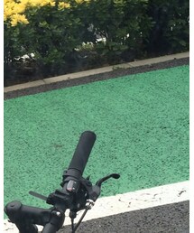 UNIQLO | ジャケット/アウター