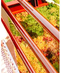 URBAN RESEARCH | ショルダーバッグ