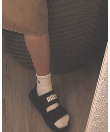 Champion | ソックス/靴下