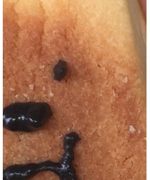 GUCCI | Tシャツ/カットソー