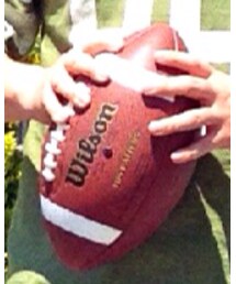 wilson | スポーツグッズ