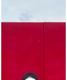 Supreme  | その他