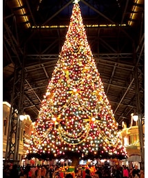 Christmas | その他