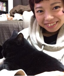 ねこ | ねこちゃん(その他)