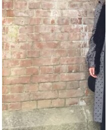 BLENHEIM | スカート