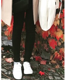 Sperry    | スニーカー