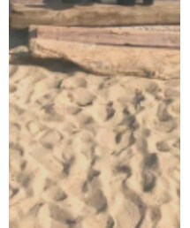 American Eagle | パンツ