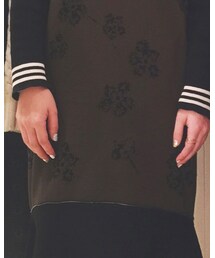 malamute | ワンピース