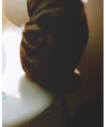 拖把 | ペットウェア