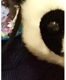 中華街 | コインケース