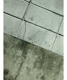 SENCE OF PLACE | 帽子