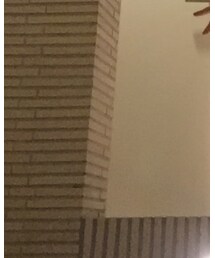 ズボラコーデ部 | その他