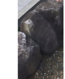 babyGAP | ソックス/靴下