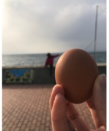 温泉たまご | 5個300円(その他)