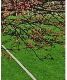 NIKE SB | ナイロンジャケット