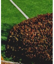 Manhattan Portage | クラッチバッグ