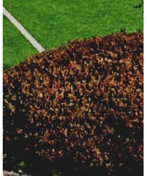 UNIQLO | デニムパンツ