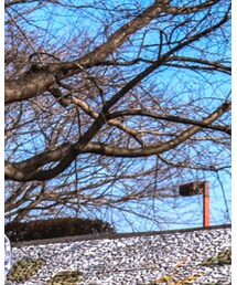 BURTON | キャップ