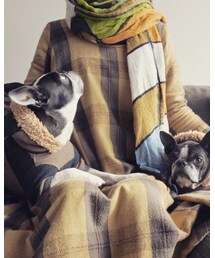 KAPITAL | ワンピース