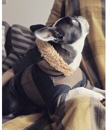 beedama | パーカー