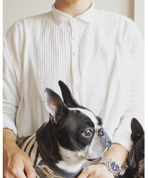 KAPITAL | シャツ/ブラウス