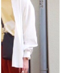 AURALEE | シャツ/ブラウス