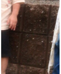 GLOBAL WORK | Tシャツ/カットソー