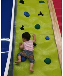 よじ登って行った😱こっちが冷や冷や😵💦 | その他