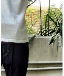 BEN DAVIS/WHITE LABEL | Tシャツ/カットソー