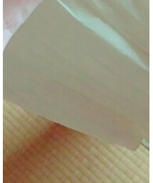 INGNI | スカート