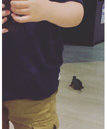 roots | Tシャツ/カットソー