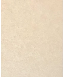 GU | GU カラーシャツ(シャツ/ブラウス)