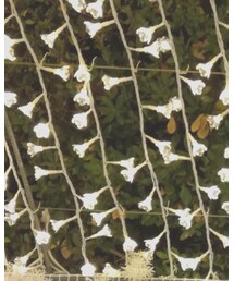 なばなの里 | その他